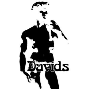 David’s Hairstylist Ltd